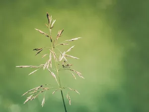 1 153